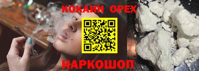 крисы Аша