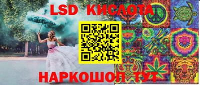крисы Аша
