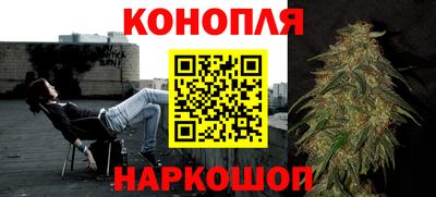 крисы Аша