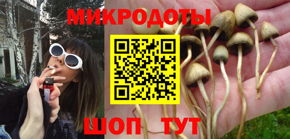 Галлюциногенные грибы Psilocybe Артём