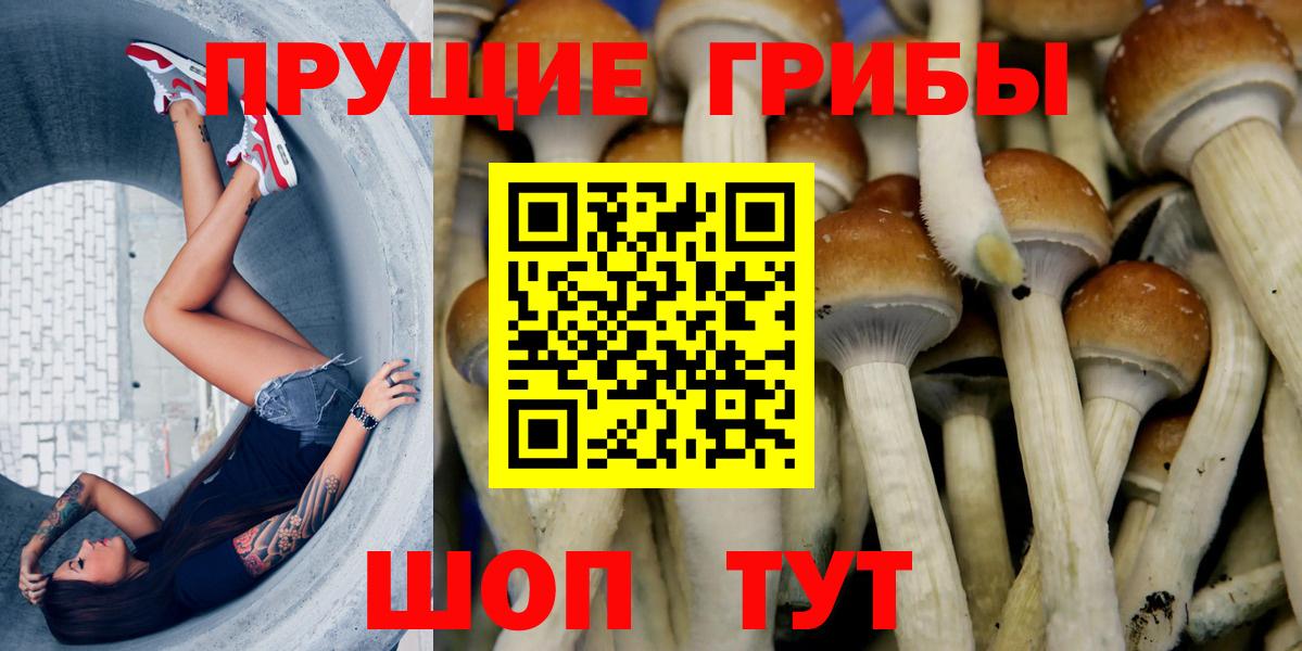 Галлюциногенные грибы GOLDEN TEACHER  Галлюциногенные грибы Psilocybine cubensis  Вход с VPN  Артём 